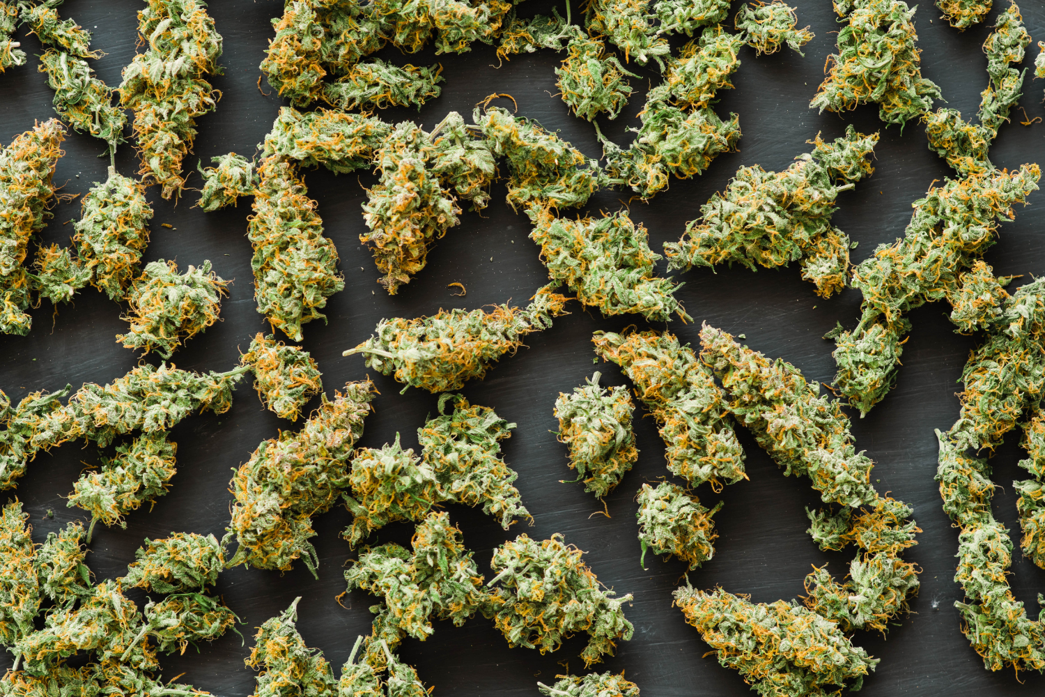 Assorted cannabis buds on a surface