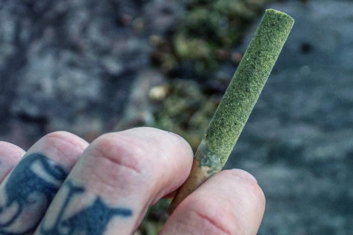 A person holding an infused pre-roll joint