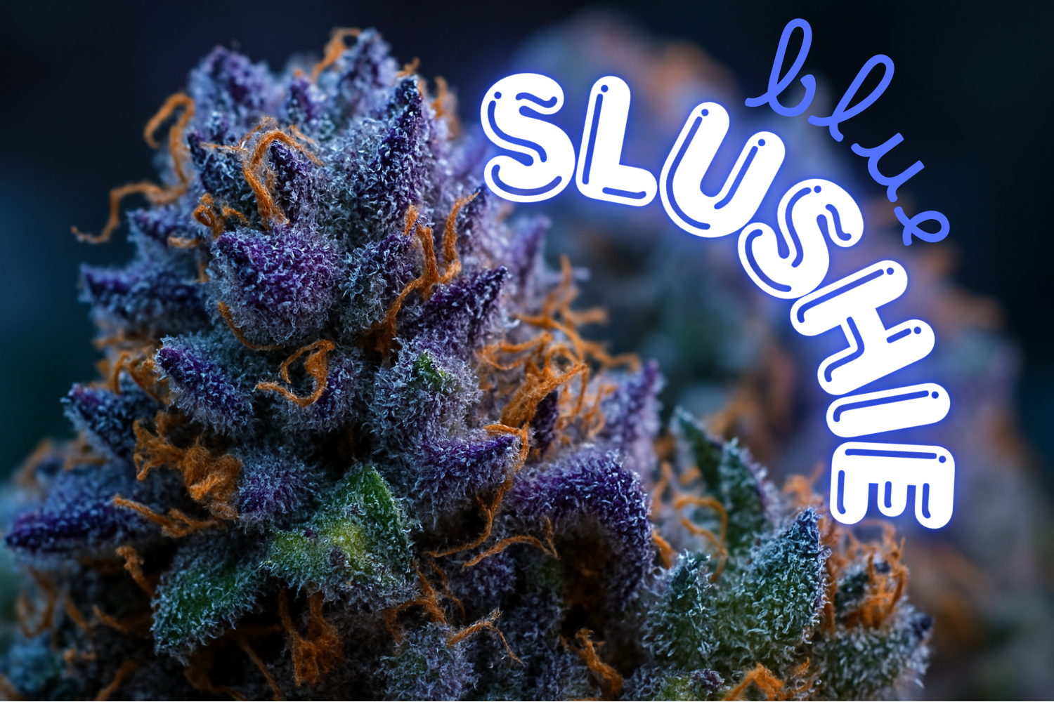 Glowing cannabis buds with text "Blue Slushie"