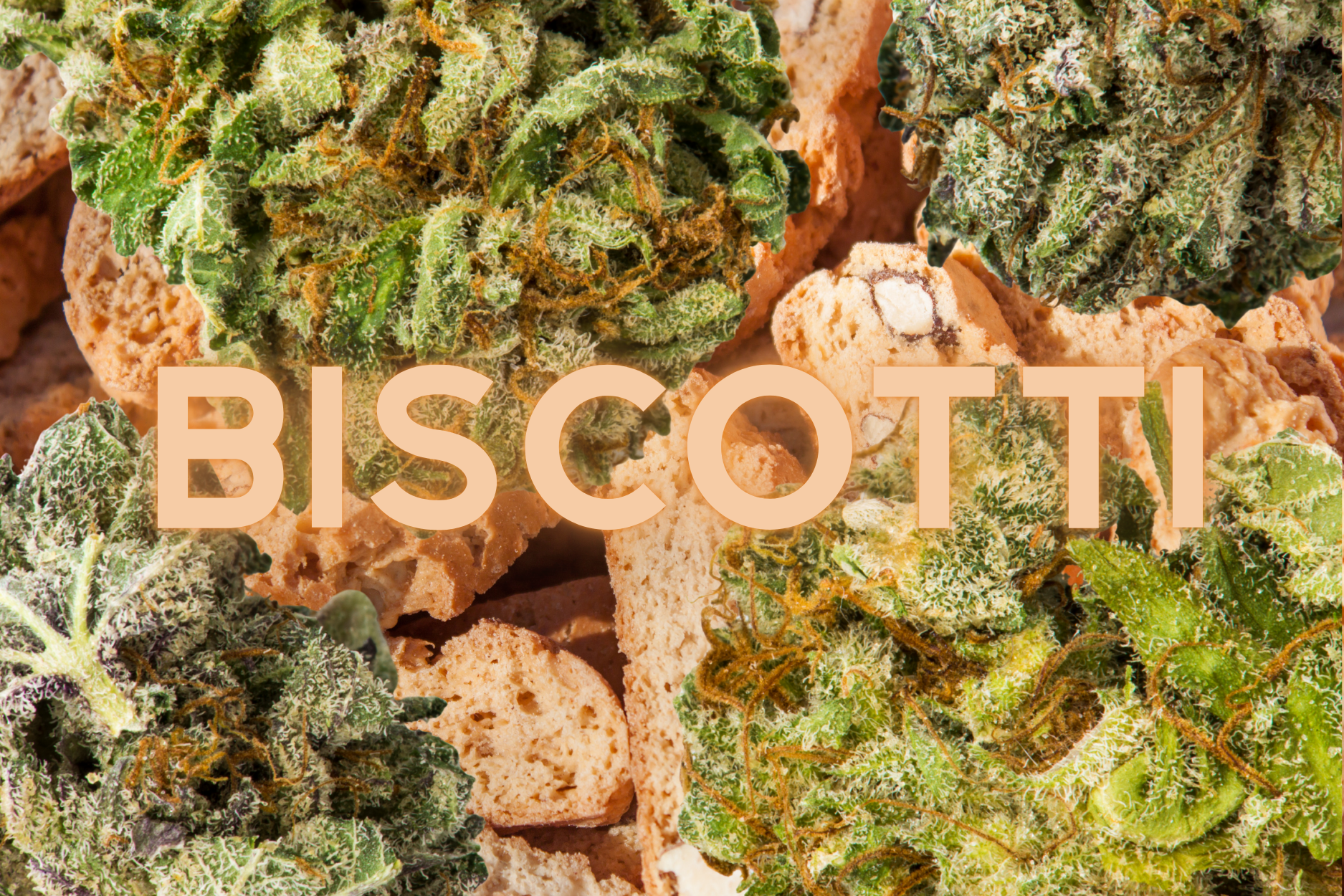 Cannabis buds over biscotti with the text "biscotti" over it