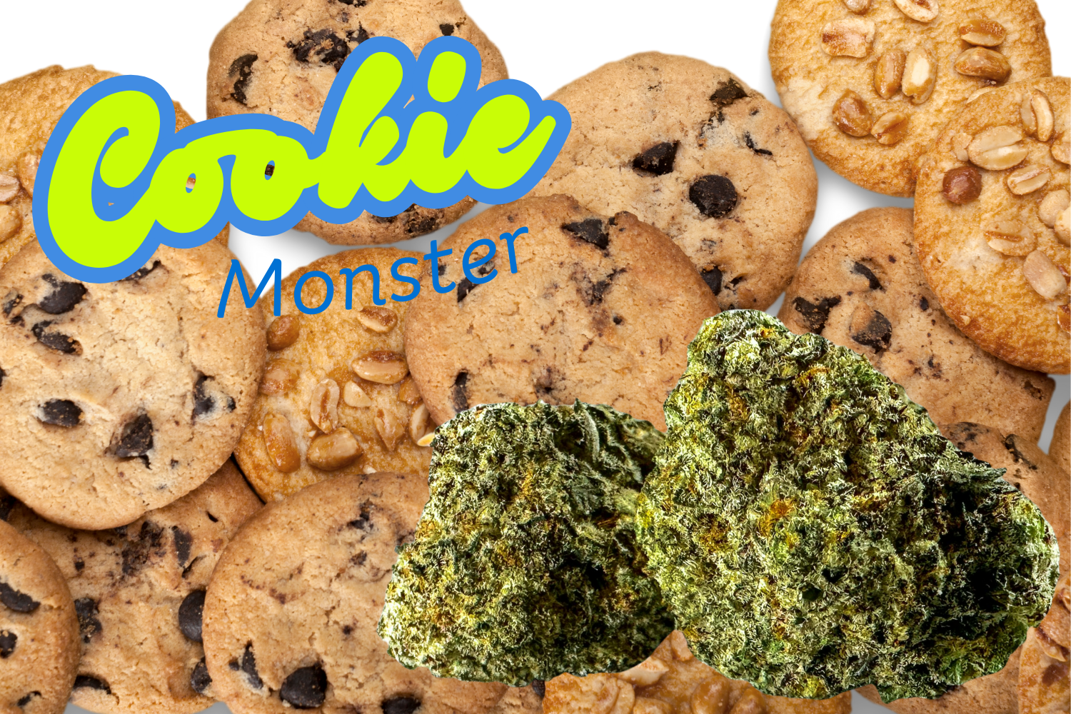 Cookies with weed buds and text "cookie monster"