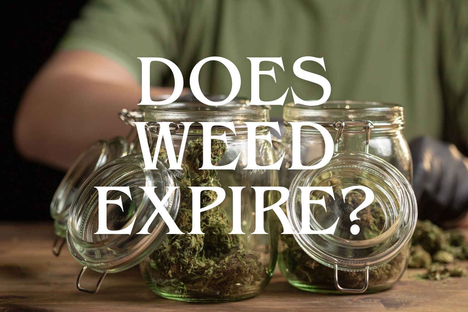 Person sorting through jars of cannabis buds with text "does weed expire?"