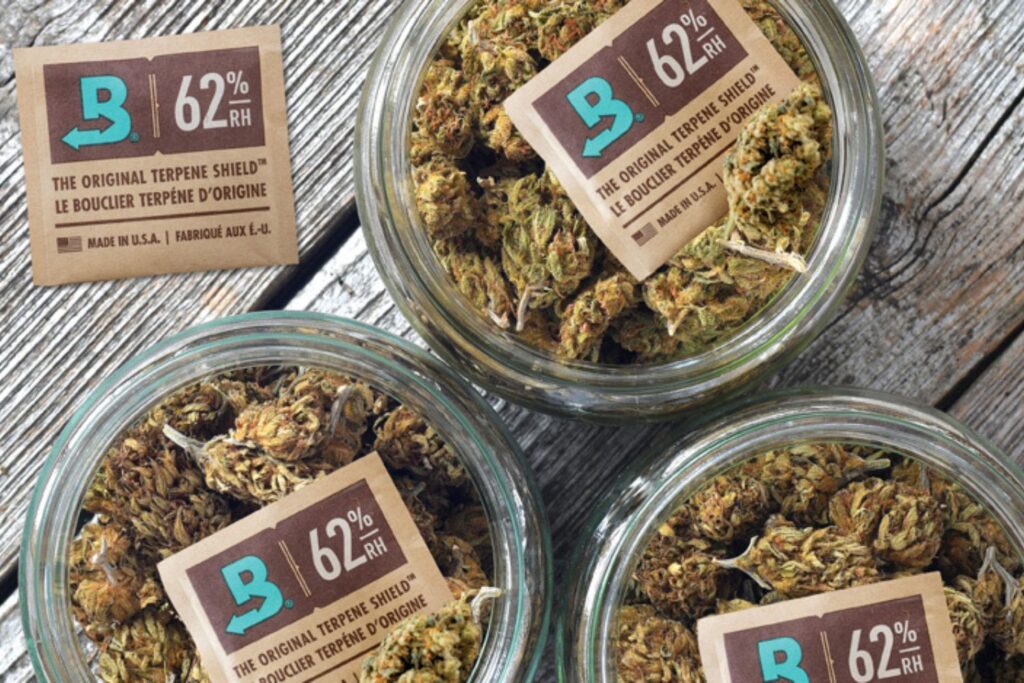 Boveda humidity packs inside cannabis jars with weed buds